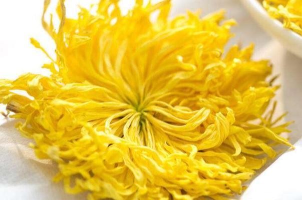 金丝皇菊的功效与作用 金丝皇菊和胎菊哪个好 金丝皇菊的功效与作用 金丝皇菊和胎菊哪个好