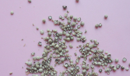 生蚝煮多久可以吃,生蚝肉水煮几分钟可以吃图8