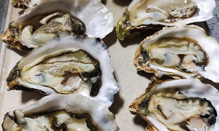 生蚝肉水煮几分钟可以吃