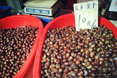 ​良乡栗子是在什么地方，东陵明珠板栗来自什么地方？