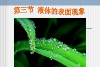 ​水珠为什么是圆的，一滴水为什么掉进水潭里的波浪是圆的？