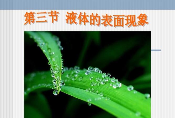 一滴水为什么掉进水潭里的波浪是圆的