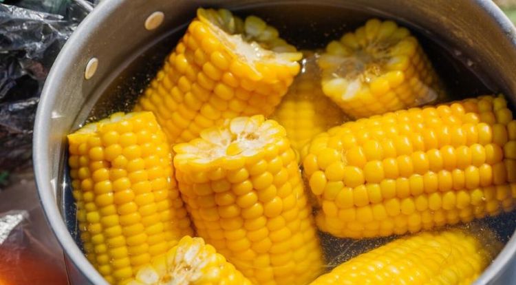 一般玉米要煮多久才熟大火吗