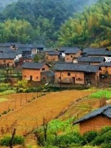 ​老表是什么意思(越南老表是什么意思)