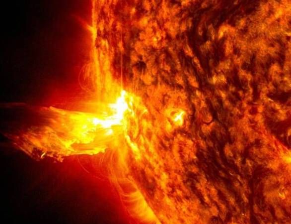 太阳对动植物和人类的生活影响