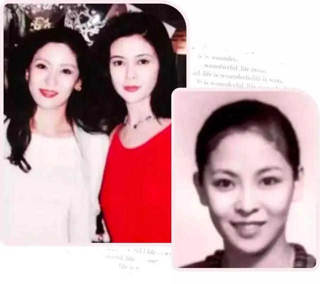 向太专访提到向华强（向华强的老实是假象）(6)