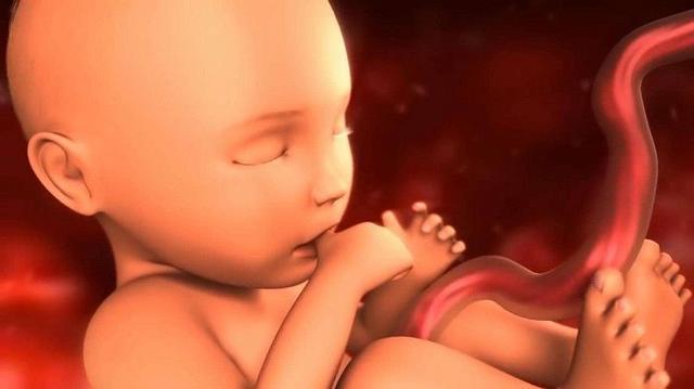 宝宝长相预测准不准(6大预测宝宝性别)(4)