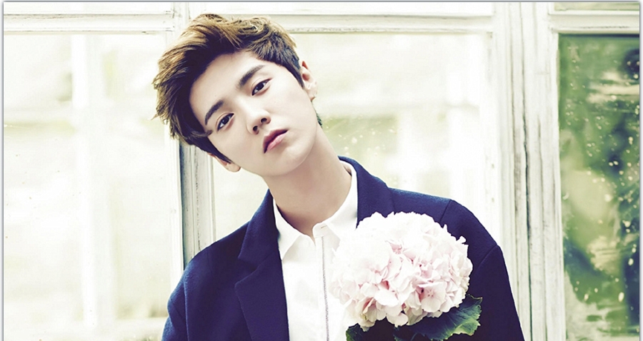 鹿晗的真名叫什么名字(鹿晗原来的名字)  第5张