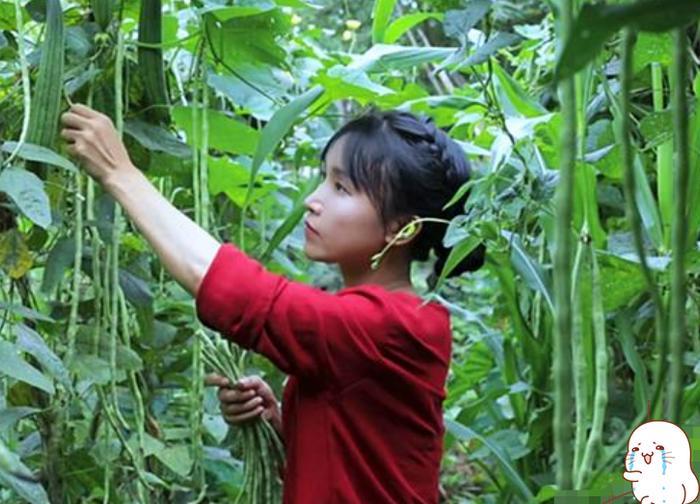 李子柒做黄桃罐头,被质疑镜头太假,网友:你厉害你来!