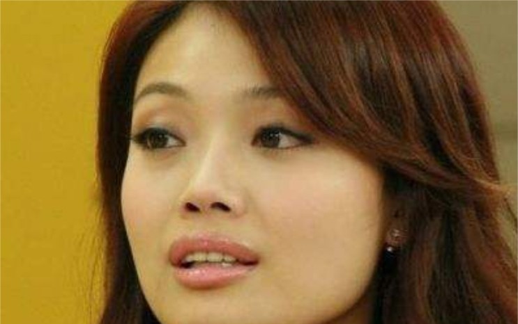 容祖儿春卷无处理图是怎么回事（容祖儿为了走红竟这样做）