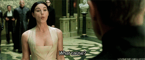 盛世美颜的地球球花：莫妮卡贝鲁奇