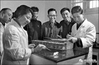 ​中国首次实现人工合成牛胰岛素：生物科学的伟大成就