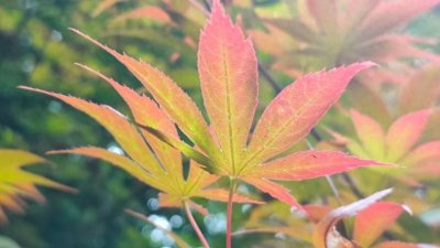 ​人生再不顺，也不要去算命，这可不是迷信