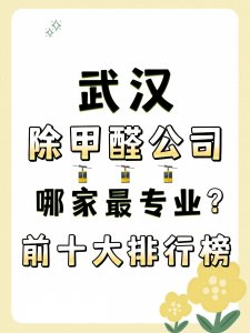 ​武汉除甲醛公司哪家最专业？武汉前十大装修甲醛治理品牌排行榜单