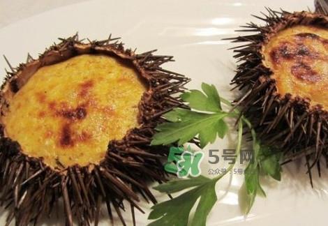 活海胆怎么保存？新鲜海胆如何保鲜