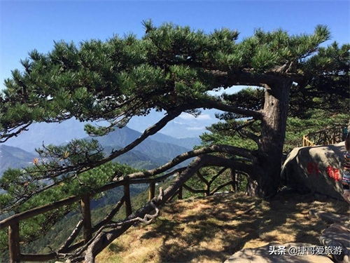 湖北省 黄冈市 罗田县 大别山国家森林公园 薄刀峰景区