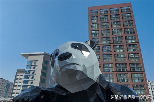 看见建筑之美，成都IFS国际金融中心