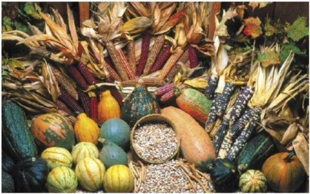 印第安人的生活习俗和特点（欧洲人到美国之前）(6)