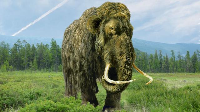 印第安人的生活习俗和特点（欧洲人到美国之前）(2)