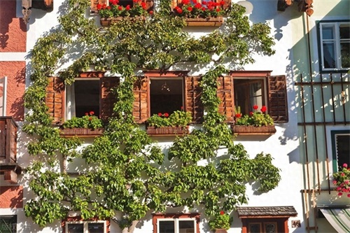 天堂遗落的明信片！奥地利最美小镇哈尔施塔特