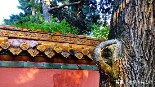 沈阳．清昭陵．沉寂的往事