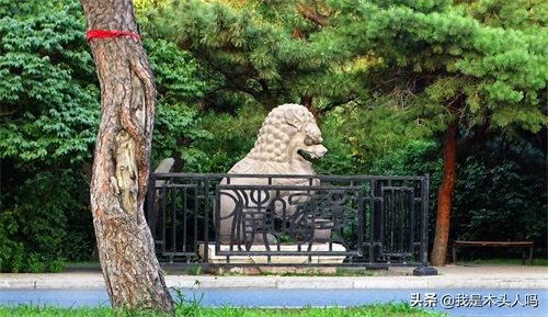 沈阳．清昭陵．沉寂的往事