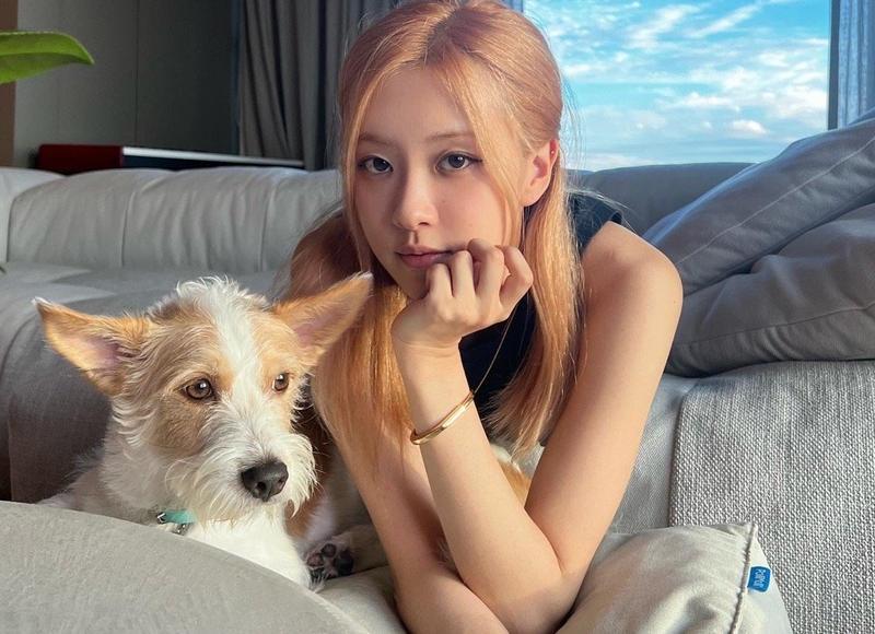 爱是个什么东西 爱是情绪还是情感 爱是个什么东西 爱是情绪还是情感