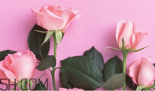 百雀羚唇彩怎么样？百雀羚唇彩色号试色