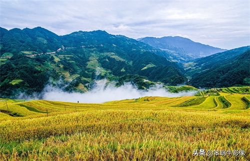 加榜梯田，贵州大山里的明珠，被誉为中国最好梯田之一