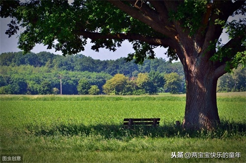 十年树木,百年树人