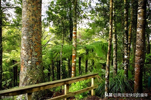 十年树木,百年树人