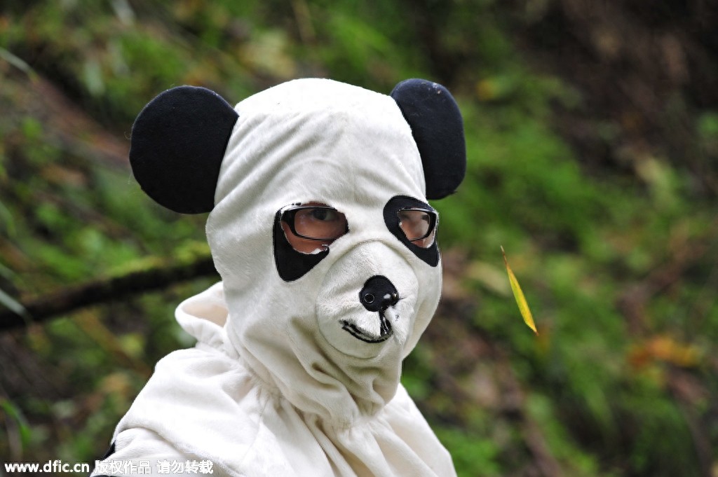 熊猫饲养员薪酬3000 每天挑20斤粪便你愿意做么？